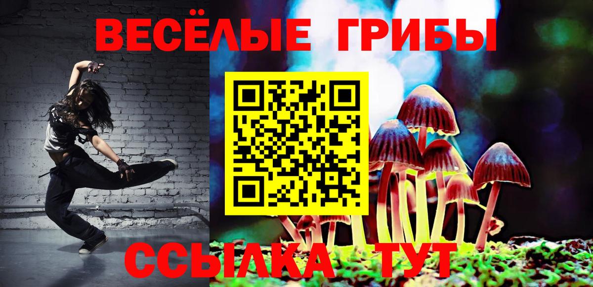 Галлюциногенные грибы прущие грибы Советская Гавань
